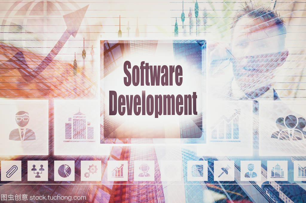 企业软件开发